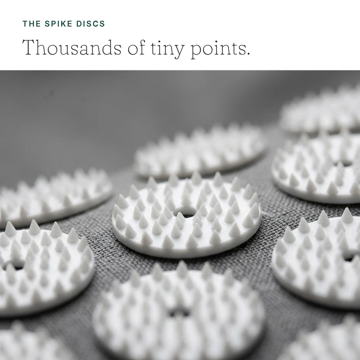 The spike discs - thousands of tiny points