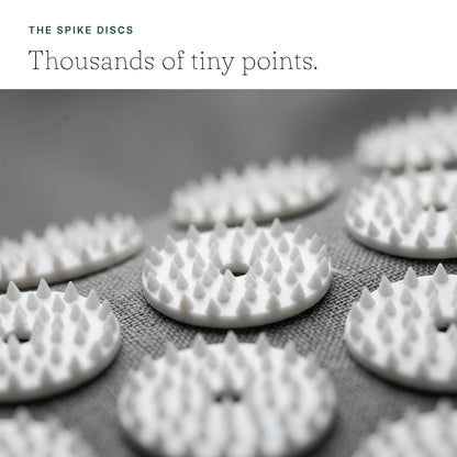 The spike discs - thousands of tiny points